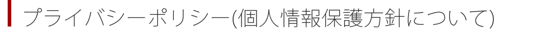 プライバシーポリシー　タイトル