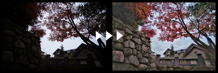AIリアルファインダーを使った画像処理例3ボタン