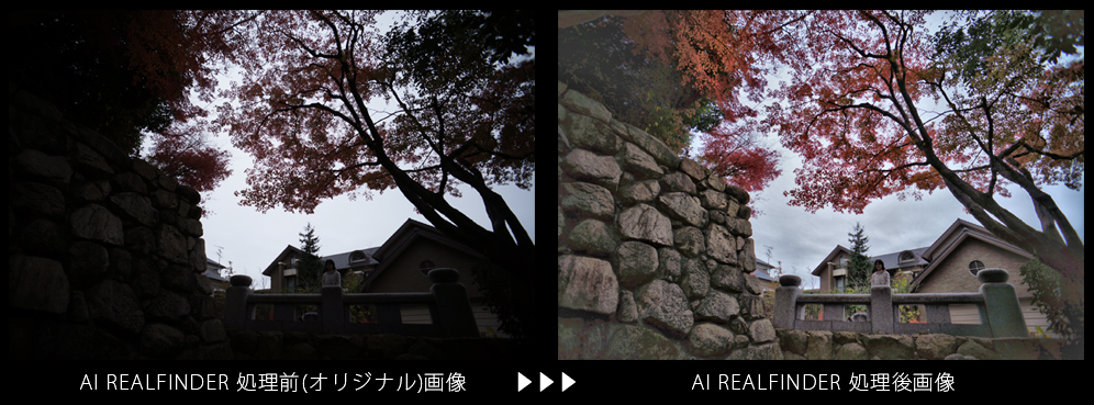 AIリアルファインダーを使った画像処理例3 /