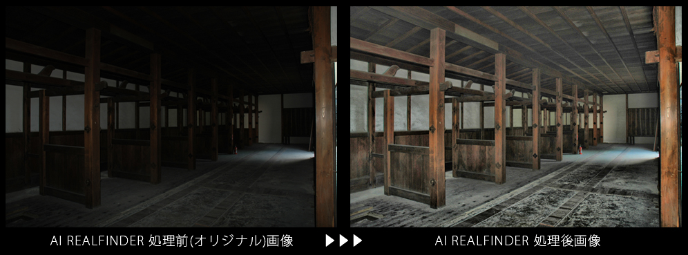 AIリアルファインダーを使った画像処理例4 /