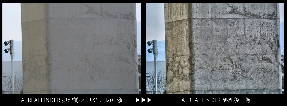 AIリアルファインダーを使った画像処理例8 /