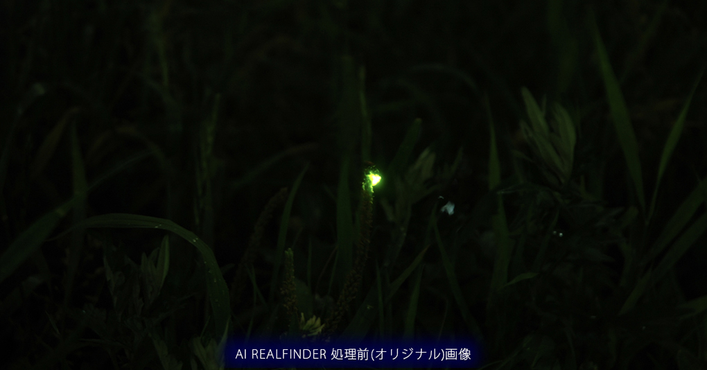 AI Reralfider画像加工例